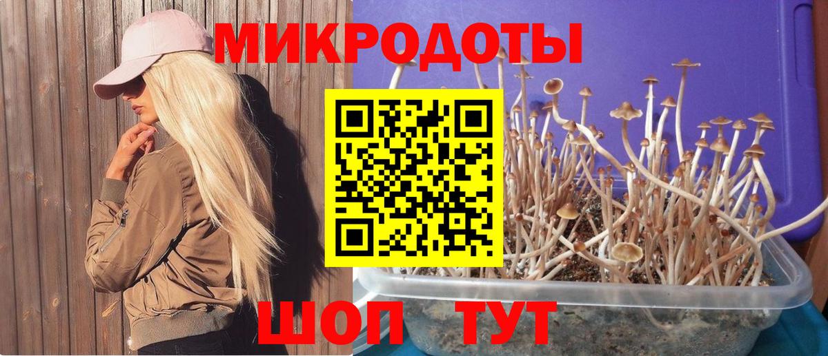 Псилоцибиновые грибы прущие грибы Кимры