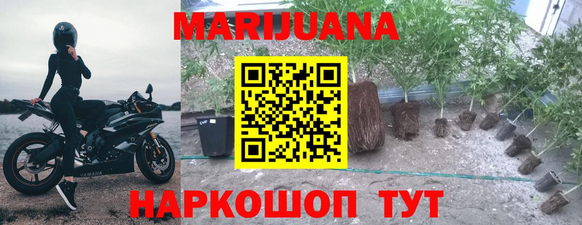 Кимры  Бошки марихуана OG Kush  Вход с VPN  Шишки марихуана AK-47 